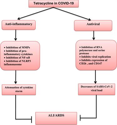 Pleiotropic Effects of Tetracyclines in the Management of COVID-19: Emerging Perspectives